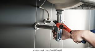 Best Commercial Plumbing Services  in Nashvle, IL